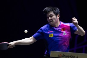 华体会体育-关于波兰乒乓球队完胜法国乒乓球队,樊振东绝境逆转的信息