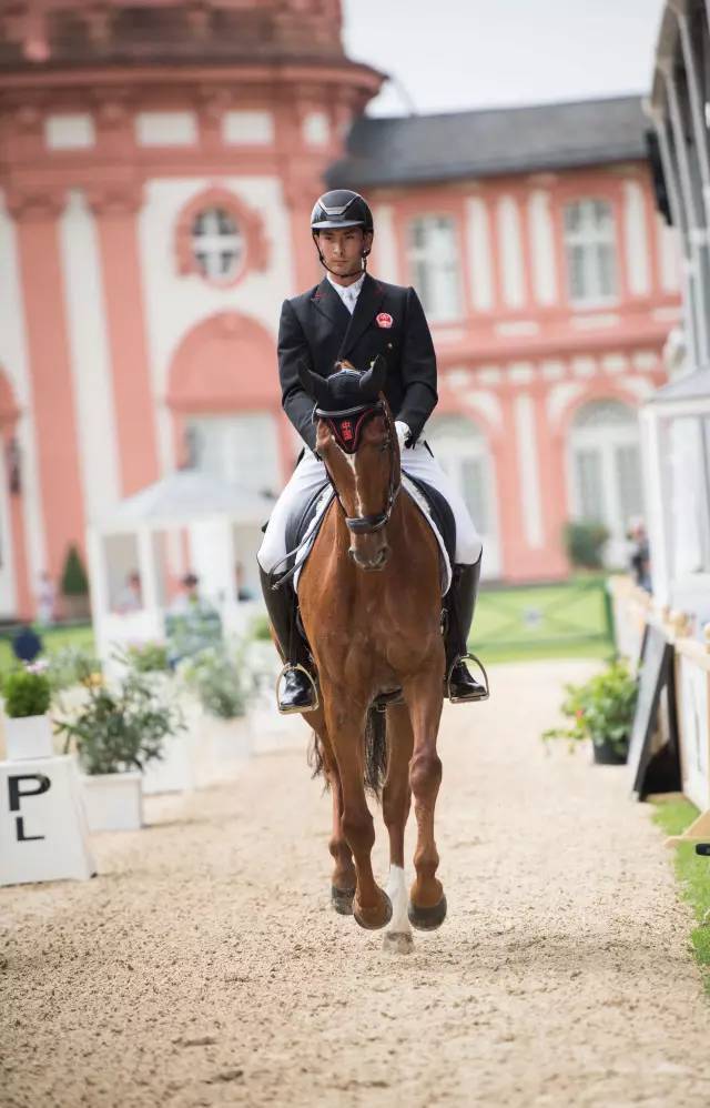 华体会下载-越南运动员在马术比赛中获得银牌  第2张 华体会下载-越南运动员在马术比赛中获得银牌  第2张