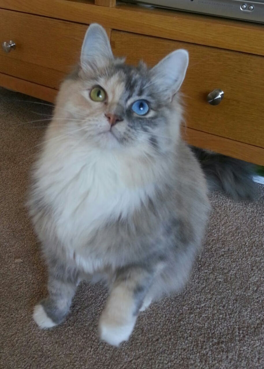 华体会登陆-改写雄鹿命运的关键手，西亚卡姆首秀评分拉满的背后深意  第1张