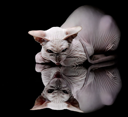 华体会登陆-浓眉作上帝，勇士依圣谕屠快船  第2张