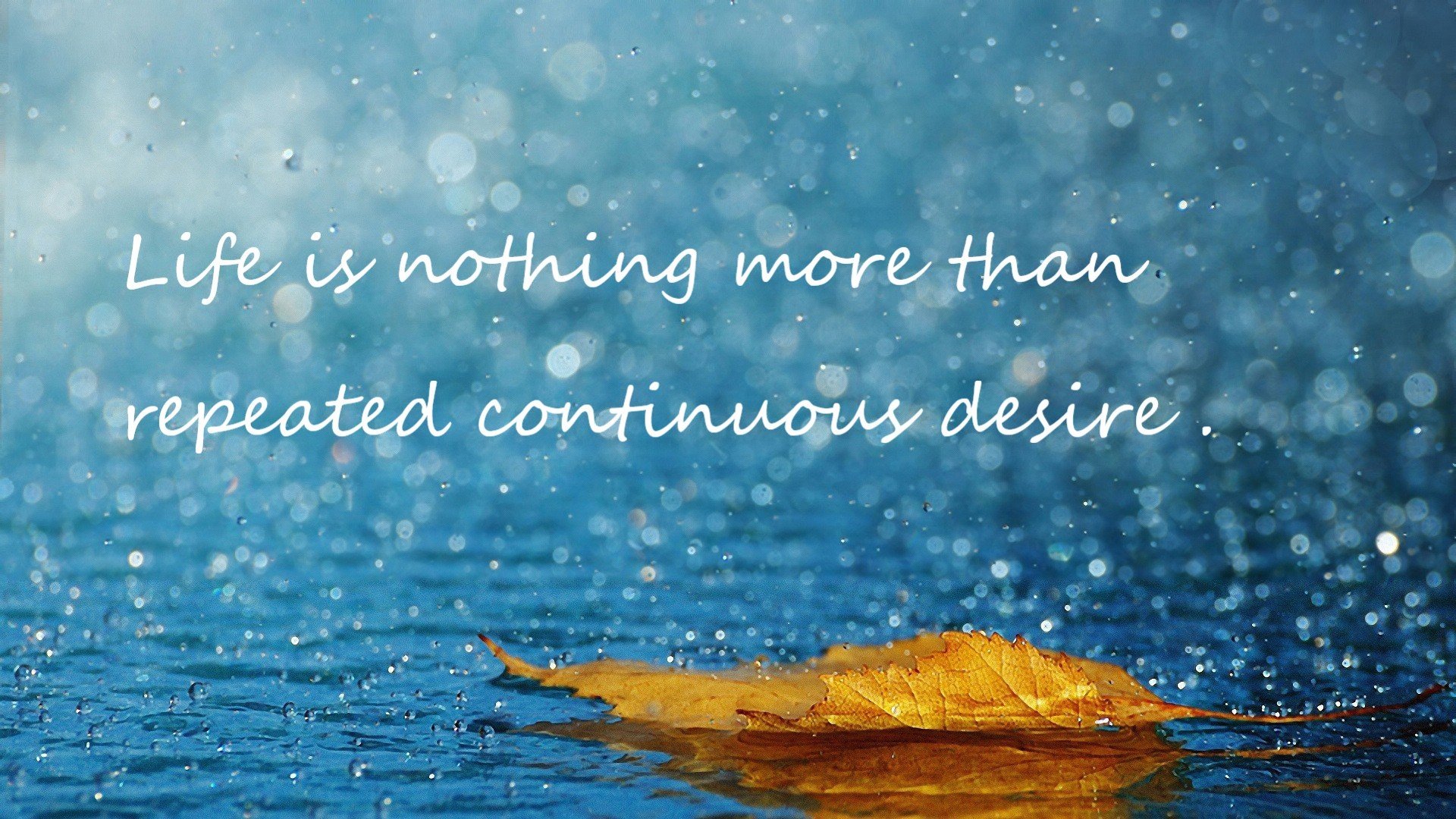 华体会体育-宿敌？盟友？克洛普与突尼斯的四年暗战，如何铸就今夜安菲尔德的史诗逆转？  第2张